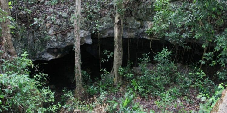Promueven el Programa “Adoptemos un cenote”