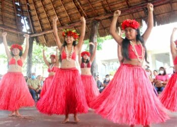 Ofrece DIF cursos de idiomas, capacitación para el trabajo y activación física