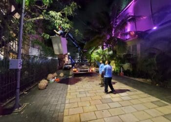 Reordenamiento de la Quinta Avenida no se detiene