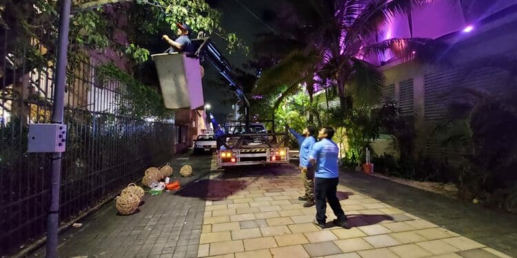 Reordenamiento de la Quinta Avenida no se detiene