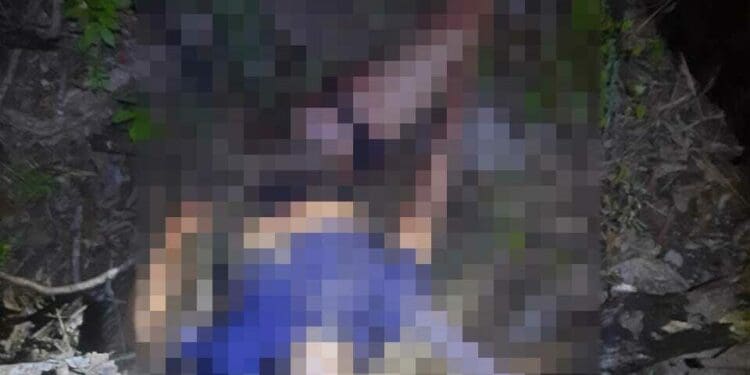 Muere conductor en accidente sobre la carretera Playa del Carmen-Tulum 