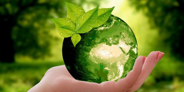 Organizan diversas actividades por el Día Mundial de Medio Ambiente en Solidaridad