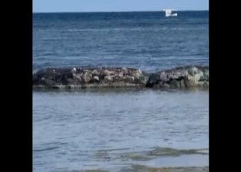 Voltea velero frente a Puerto Aventuras