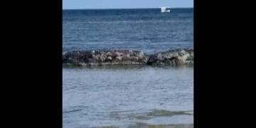 Voltea velero frente a Puerto Aventuras