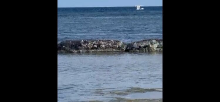 Voltea velero frente a Puerto Aventuras