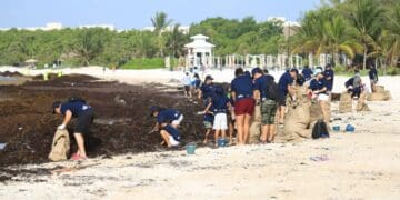 Voluntarios se suman a limpieza de playas