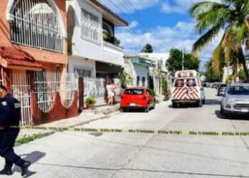 Autoridades “brillan por su ausencia” para proteger a hijos de víctimas de feminicidio, asegura Ariadne Song