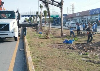 Comienza reforestación del bulevar Playa del Carmen