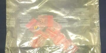 Traía LSD en Puerto Aventuras y lo detiene la Policía Municipal