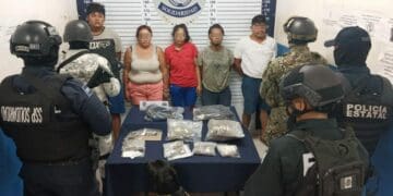 Unidad canina logra la detención de cinco personas en posesión de droga en Solidaridad