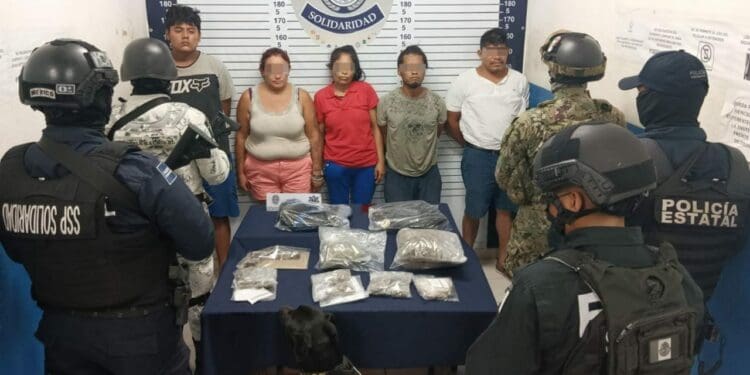 Unidad canina logra la detención de cinco personas en posesión de droga en Solidaridad