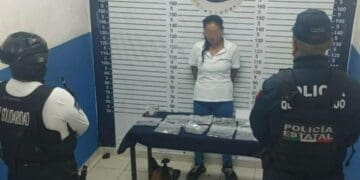 Mesera chiapaneca escondía droga en restaurante en la zona turística de Playa del Carmen