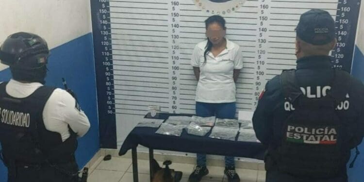 Mesera chiapaneca escondía droga en restaurante en la zona turística de Playa del Carmen