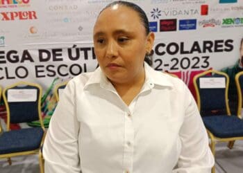 Culpa Cristina Torres a la pandemia de la baja productividad de la actual legislatura