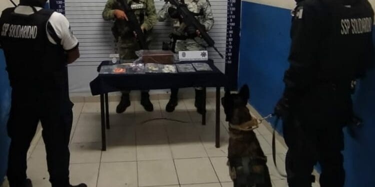 Detienen a sujeto en la Quinta Avenida con drogas