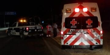 Hallan a taxista aparentemente ejecutado en la carretera Playa del Carmen-Tulum