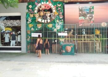 Permite Fiscalía a dueño retirar ejemplares de Animalandia en Playa del Carmen