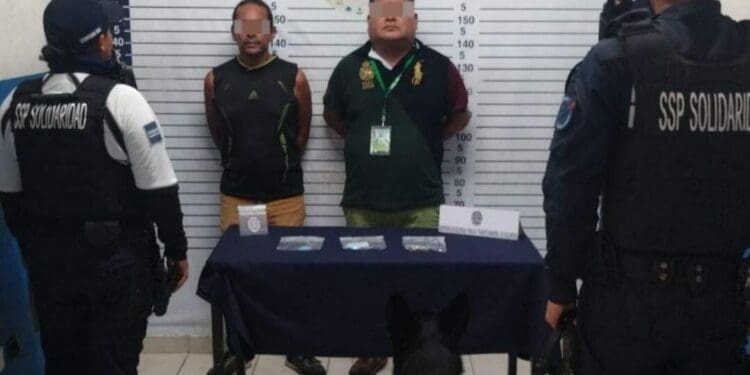 Perro policía detecta a dos con drogas en la zona de playas de Solidaridad
