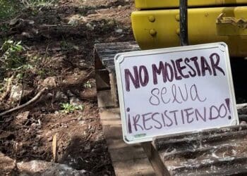 Revocan suspensión definitiva de las obras del Tramo 5 del Tren Maya