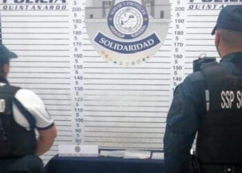 Coctél de sustancias ilícitas encuentra perro policía en la Quinta Avenida de Playa del Carmen