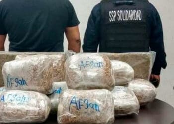 Aseguran 30 kilos de marihuana en domicilio de Villas del Sol en Playa del Carmen