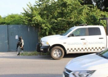 Detienen a cinco personas y aseguran más de 100 kilos de marihuana, armas y vehículos, en Playa del Carmen