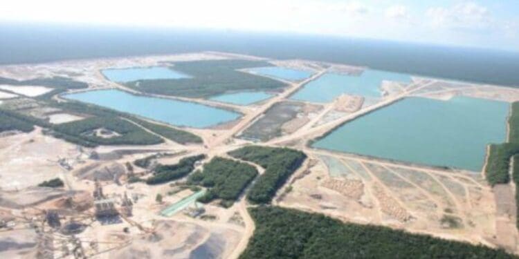 Revira Calica acciones del gobierno federal en su contra