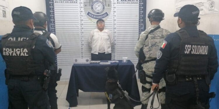 Tras operativo "Bares" en la Quinta Avenida, detienen a presunto dealer