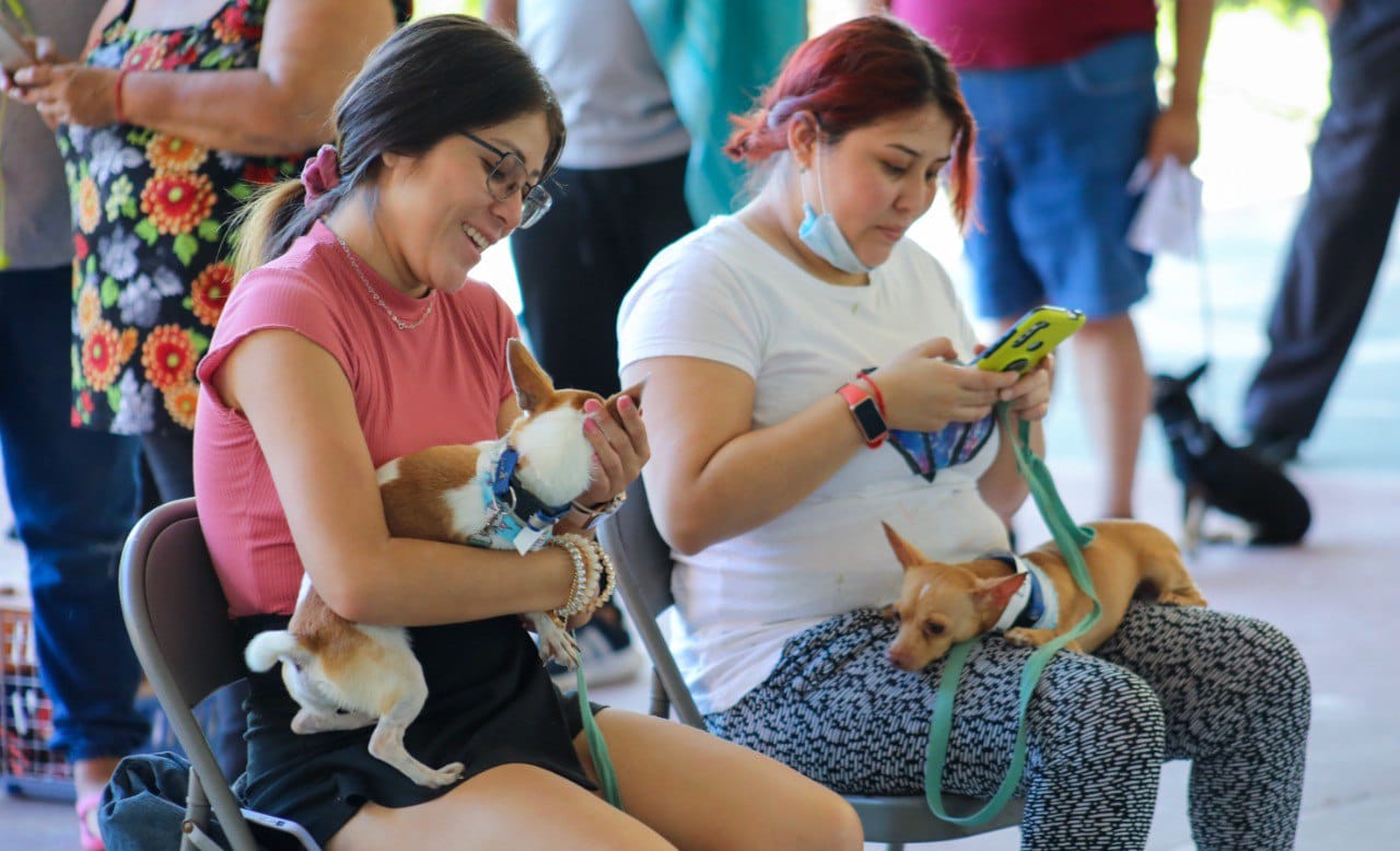 Lili Campos impulsa acciones de bienestar animal