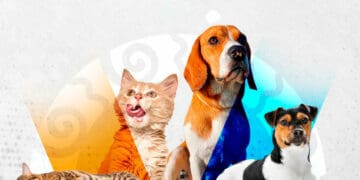 Jornada extraordinaria de vacunación antirrábica