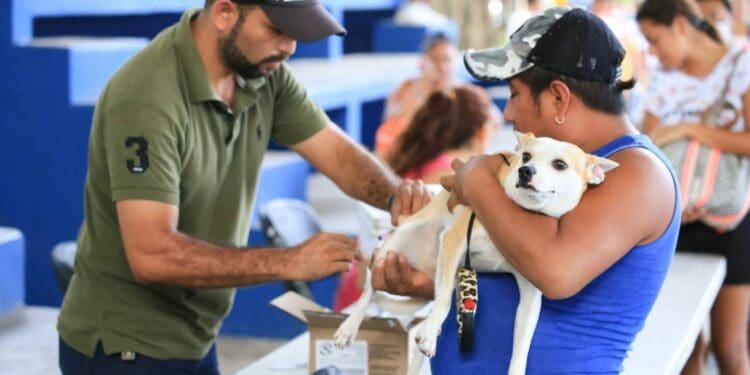 Fortalecen salud de mascotas en Solidaridad