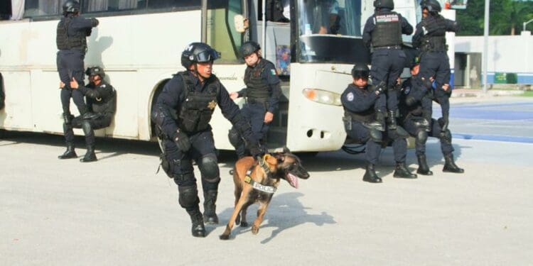 Gobierno de Lili Campos apuesta por la capacitación a elementos policiacos