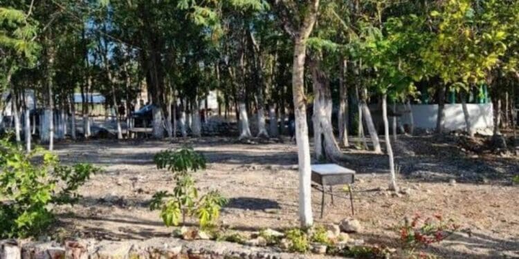 Tras años en el abandono, Ayuntamiento de Solidaridad atiende a la zona norponiente