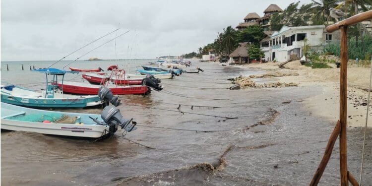 Tras petición de pescadores, retirarán el muro del ojo de agua en El Recodo de Playa del Carmen