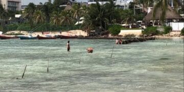 Hotel Panama Jack realiza obras sin permiso en Playa del Carmen; Profepa no ha intervenido