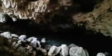 Respetarán la caverna hallada en obras viales en Playa del Carmen