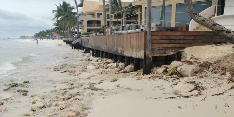 Playas erosionadas se recuperarán hasta enero o febrero de 2023: Zofemat de Solidaridad