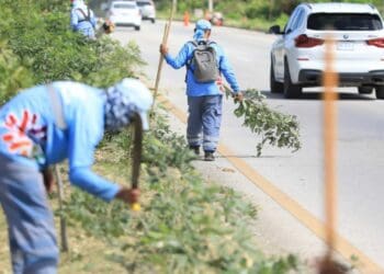 Gobierno refuerza limpieza en tramos carreteros