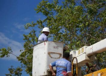 Alumbran la pista de patinaje y mejoras a las gradas 
