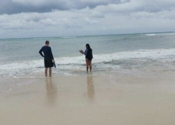Alta afluencia de bañistas en Playa del Carmen pese al frente frío
