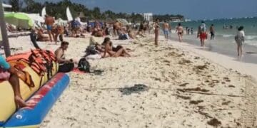 Nutrida afluencia; hasta 12 mil bañistas se dejan ver en Playa del Carmen