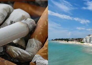 Se colocará señalética para que bañistas sepan que ya no pueden fumar en las playas: Zofemat