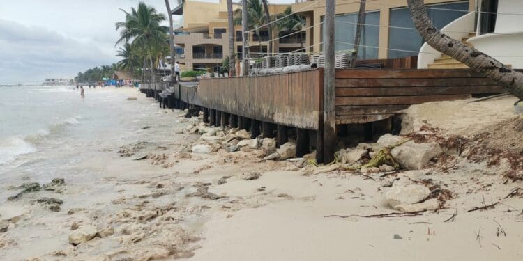 Zofemat ya reportó a Semarnat construcciones irregulares en costas de Playa del Carmen