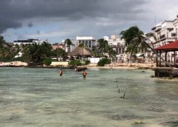​​Playa del Carmen estará libre de sargazo en 2023; habrá doble maquinaria para limpiar: Zofemat