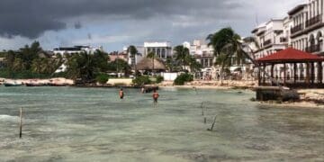 ​​Playa del Carmen estará libre de sargazo en 2023; habrá doble maquinaria para limpiar: Zofemat