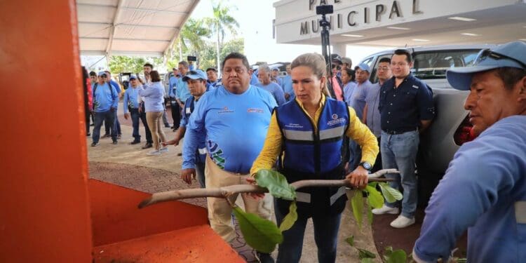 Se adquieren más unidades por un Solidaridad limpio
