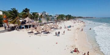 Trabajo coordinado para contener llegada de sargazo