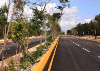 Embellecen la ciudad con plantas nativas