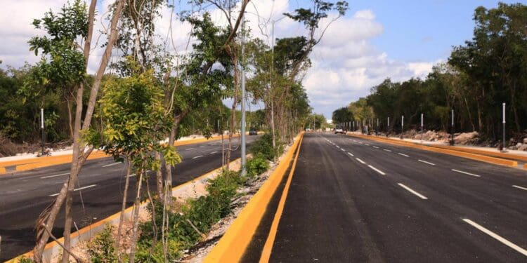 Embellecen la ciudad con plantas nativas