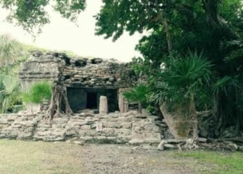 Guías deben inscribirse en el Registro Estatal de Turismo: Sedetur